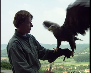 Link to Video | Germany, 1995