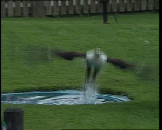 Link to Video | Germany, 1995