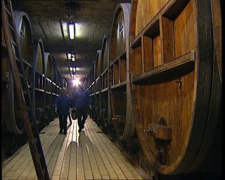 Link to Video | Germany, 1995