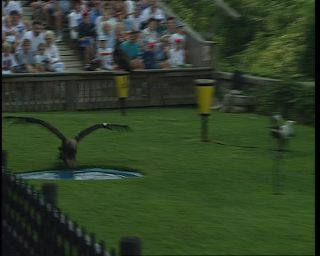 Link to Video | Germany, 1995