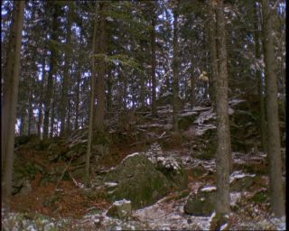 Link to Video | Germany, 1994, color, photographic film, Bavaria