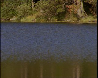 Link to Video | Germany, 1994, color, photographic film, Bavaria