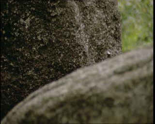 Link to Video | Germany, 1994, color, photographic film, Bavaria