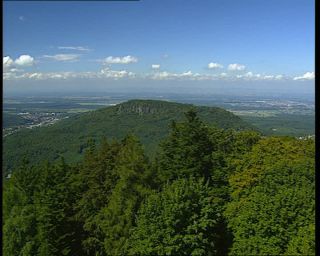 Link to Video | Germany, 1995