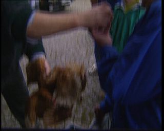 Link to Video | Germany, 1995