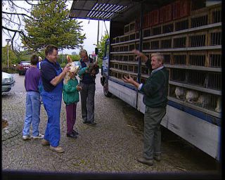 Link to Video | Germany, 1995