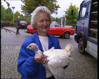 Link to Video | Germany, 1995