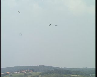 Link to Video | Germany, 1995