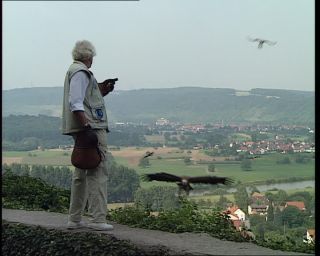 Link to Video | Germany, 1995