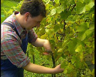 Link to Video | Germany, 1995