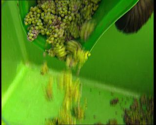 Link to Video | Germany, 1995