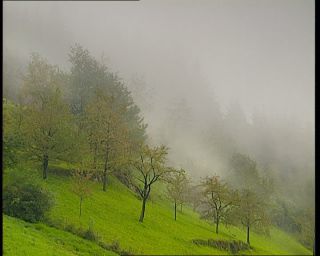 Link to Video | Germany, 1995