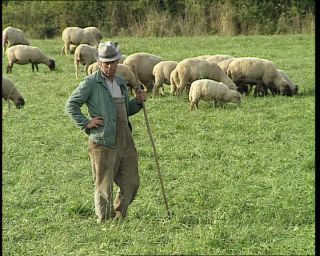 Link to Video | Germany, 1995