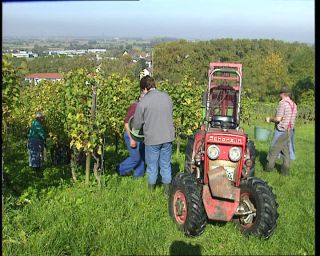 Link to Video | Germany, 1995