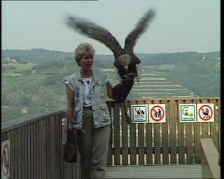 Link to Video | Germany, 1995