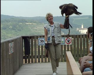 Link to Video | Germany, 1995