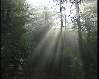 Link to Video | Germany, 1995