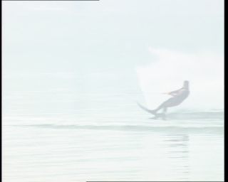 Link to Video | Germany, 1995