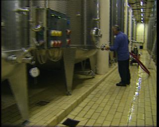 Link to Video | Germany, 1995