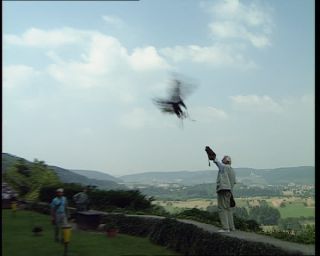 Link to Video | Germany, 1995