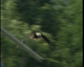 Link to Video | Germany, 1995