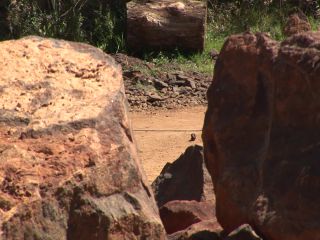 Link zum Video | Experiment, Tourismusziel, Mittelalter, Département Yonne, Frankreich, Guédelon, Bourgogne-Franche-Comté, Treigny, Hochmittelalter, Farbe, Burg, Sehenswürdigkeit, experimentelle Archäologie, Langzeituntersuchung, 13. Jahrhundert
