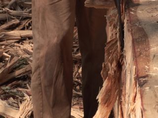 Link to Video | experiment, tourist destination, Middle Ages, Yonne, France, Guédelon Castle, Bourgogne-Franche-Comté, Treigny, High Middle Ages, color, castle, tourist attraction, experimental archaeology, long-term experiment, 13th century