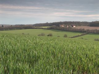 Link to Video | experiment, tourist destination, Middle Ages, Yonne, France, Guédelon Castle, Bourgogne-Franche-Comté, Treigny, 2007, High Middle Ages, color, castle, tourist attraction, experimental archaeology, long-term experiment, 13th century