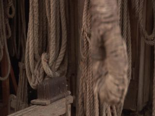 Link to Video | experiment, tourist destination, Middle Ages, Yonne, France, Guédelon Castle, Bourgogne-Franche-Comté, Treigny, High Middle Ages, color, castle, tourist attraction, experimental archaeology, long-term experiment, 13th century
