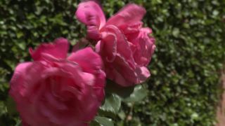 Link to Video | experiment, tourist destination, Middle Ages, Yonne, France, Guédelon Castle, Bourgogne-Franche-Comté, Treigny, 2009, High Middle Ages, color, castle, tourist attraction, experimental archaeology, long-term experiment, 13th century