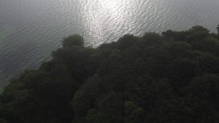 Link to Video | landscape, tourist destination, Møns Klint, sea, steep coast, chalk, Scandinavia, color, 4K resolution, Denmark, Europe, aerial shot, 2021, Baltic Sea, tourist attraction