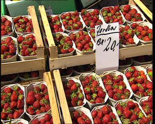 Link to Video | 1996, Denmark