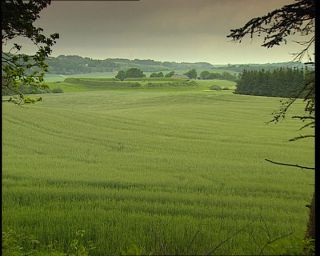 Link to Video | 1996, Denmark