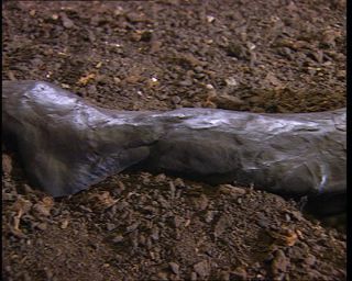 Link to Video | 1996, Denmark