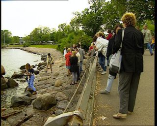 Link to Video | 1996, Denmark