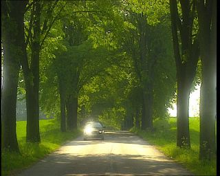 Link to Video | 1996, Denmark