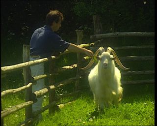 Link to Video | 1996, Denmark