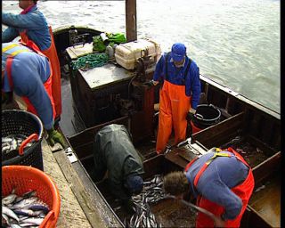 Link to Video | 1996, Denmark