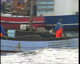 Link to Video | 1996, Denmark