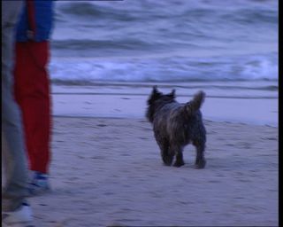 Link to Video | 1996, Denmark