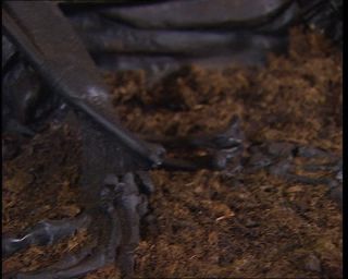 Link to Video | 1996, Denmark