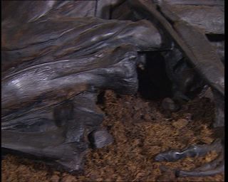 Link to Video | 1996, Denmark