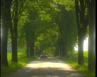 Link to Video | 1996, Denmark