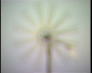 Link to Video | 1996, Denmark