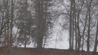 Link to Video