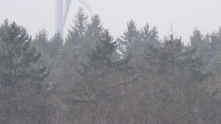 Link to Video