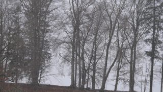 Link to Video