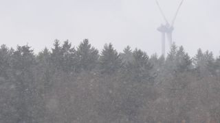Link to Video
