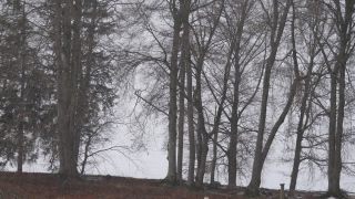 Link to Video