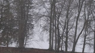 Link zum Video